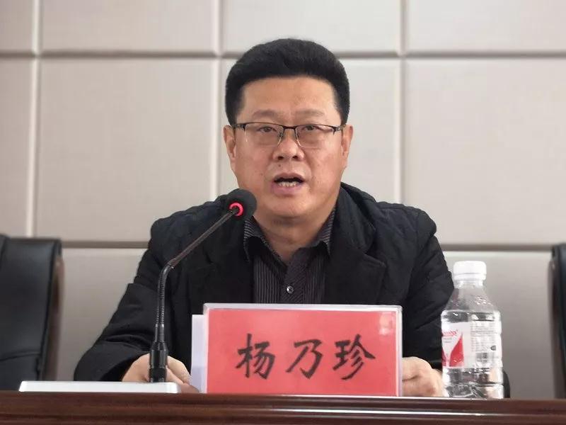 通河县委副书记杨乃珍讲话
