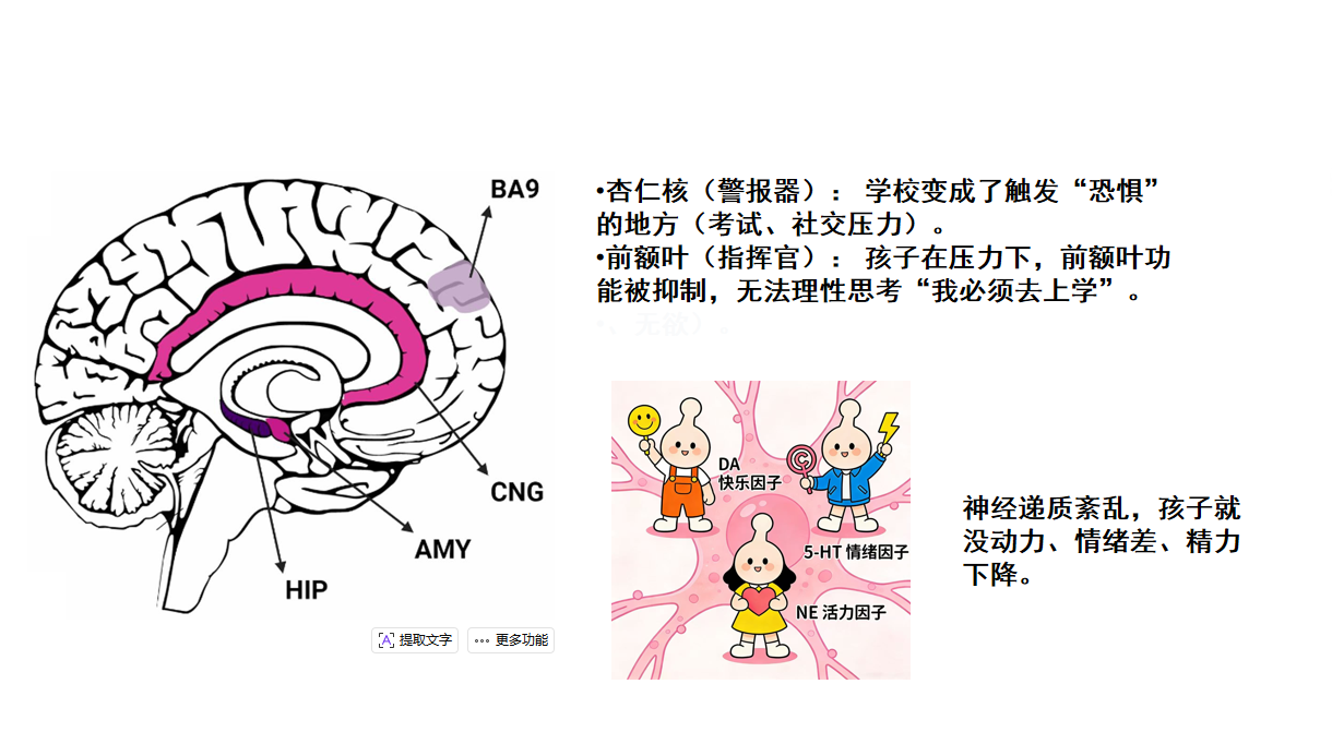 深耕心理护成长 聚力育童暖龙江——希望工程心理健康大讲堂开讲啦！(图8)