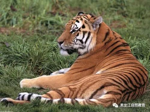 微信图片_20200902113130.jpg