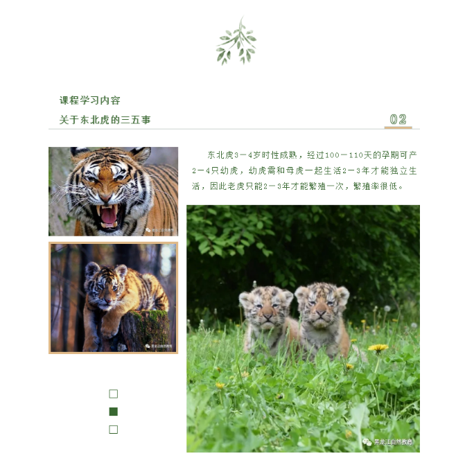 1599017506(1).png