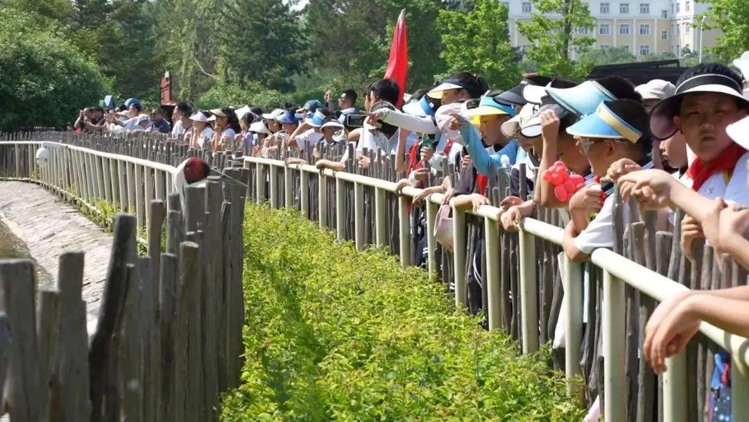希望工程六一系列活动 | 2025年黑龙江共青团“希望与爱手拉手”公益研学“六一”少先队主题活动（齐齐哈尔站）成功举办(图7)